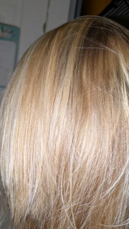 Cosmetology License