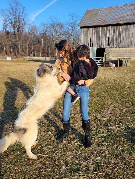 Park and Bark Pet Grooming