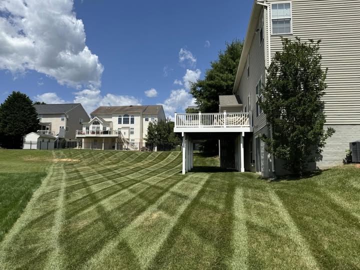 Sunfield Lawncare Projects